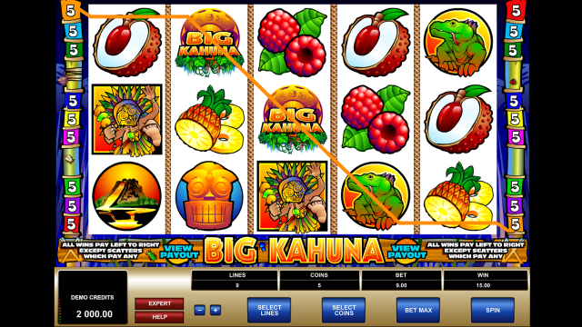Игровой интерфейс Big Kahuna 7
