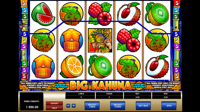 Характеристики слота Big Kahuna 8